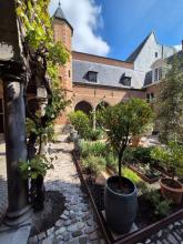 2025-tuin-1-aangepast