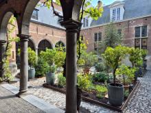 2025-tuin-2-aangepast