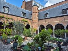 2025-tuin-3-aangepast