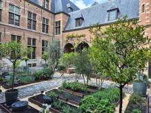 2025-tuin-5-aangepast