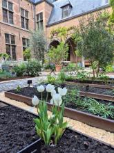 2025-tuin-6-aangepast