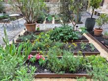 2025-tuin-7-aangepast